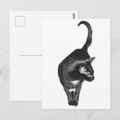 Geschaduwde Kattenblijdschap Briefkaart (Voorkant / Achterkant)