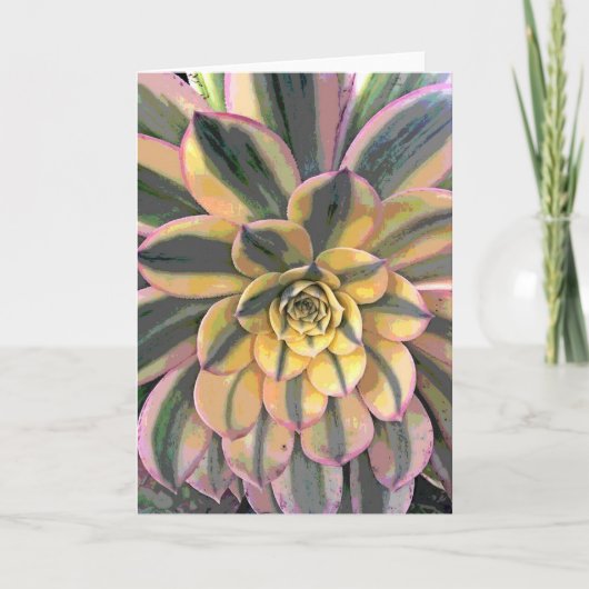 Geschakeerde Aeonium Kaart (Voorkant)