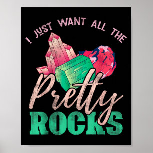 Geschenk voor steenverzamelaar Aardpaleontoloog Fu Poster