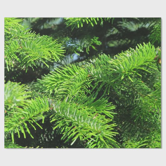 geschenkpapier muster cadeaupapier (Vlak)