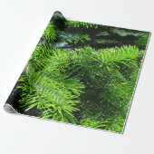 geschenkpapier muster cadeaupapier (Uitgerold)