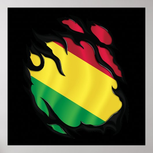 Gescheurde Vlag van Bolivia Poster (Voorkant)