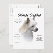 Geschiedenis Chinese Crested (poedervormig) Briefkaart (Voorkant / Achterkant)