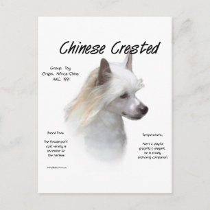 Geschiedenis Chinese Crested (poedervormig) Briefkaart