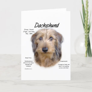 Geschiedenis Dachshund (wirehair) Feestdagen Kaart