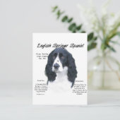 Geschiedenis Engels Springer Spaniel (blk) Briefkaart (Staand voorkant)