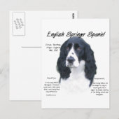 Geschiedenis Engels Springer Spaniel (blk) Briefkaart (Voorkant / Achterkant)