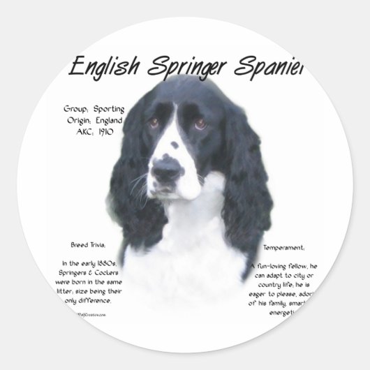 Geschiedenis Engels Springer Spaniel (blk) Ronde Sticker (Voorkant)