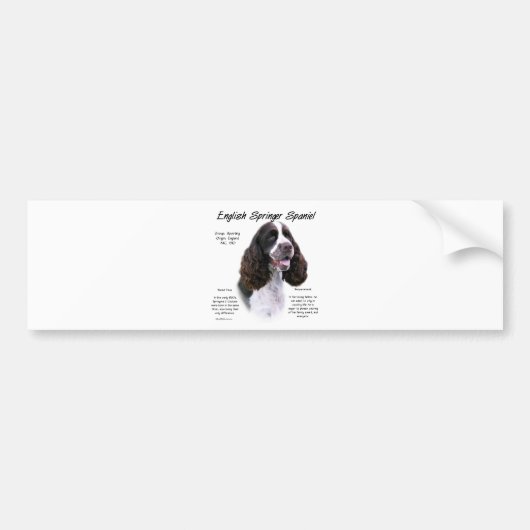 Geschiedenis Engels Springer Spaniel (lever) Bumpersticker (Voorkant)