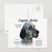 Geschiedenis Engelse setter Briefkaart (Voorkant / Achterkant)
