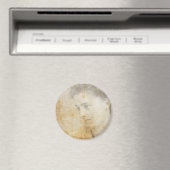 Geschiedenis Magneet (Insitu (Vaatwasser))