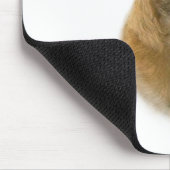 Geschiedenis over grens muismat (Hoek)