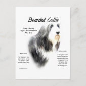 Geschiedenis van Bearded Collie; Love Bearded Coll Briefkaart (Voorkant)