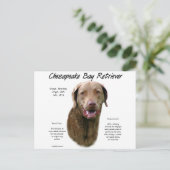 Geschiedenis van Chesapeake Bay Retriever Briefkaart (Staand voorkant)