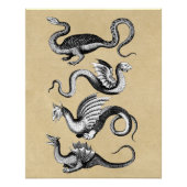 Geschiedenis van Dragons Rustic Perfect Poster (Voorkant)