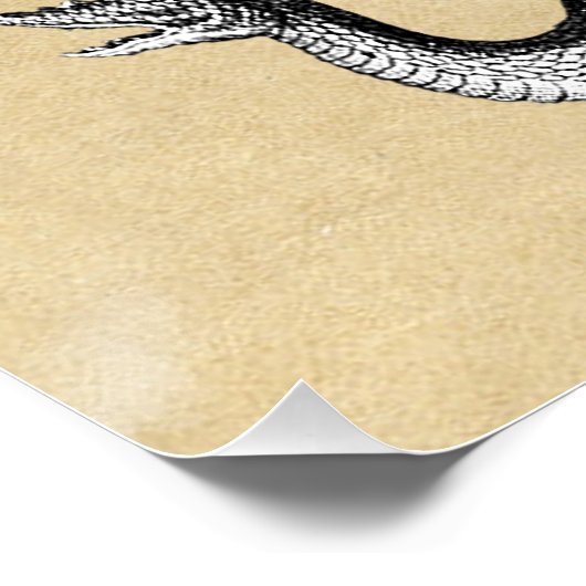 Geschiedenis van Dragons Rustic Perfect Poster (Hoek)