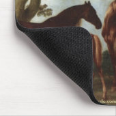 GESCHIEDENIS VAN HET COLLECTIE MUISMAT (Hoek)