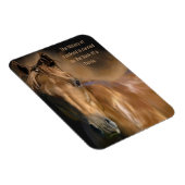 Geschiedenis van paarden en van de mensheid magneet (Rechterzijde)