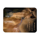 Geschiedenis van paarden en van de mensheid magneet (Horizontaal)