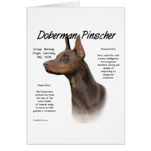 Geschiedenis van Red Doberman