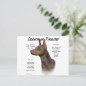Geschiedenis van Red Doberman Briefkaart (Staand voorkant)