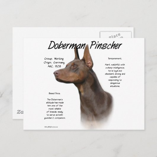 Geschiedenis van Red Doberman Briefkaart (Voorkant / Achterkant)