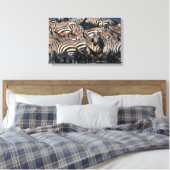 Geschiedenis van zebras 2 canvas afdruk (Insitu (Slaapkamer))
