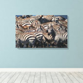 Geschiedenis van zebras 2 canvas afdruk (Insitu (Houten vloer))