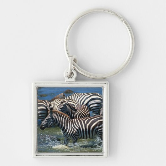 Geschiedenis van zebras 2 sleutelhanger (Voorkant)