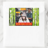 GESCHIEDENIS VOOR JONGE AMERIKANEN RECHTHOEKIGE STICKER (Tas)