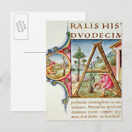 Geschiedeniseerd initiaal "A" met afbeelding Briefkaart (Voorkant / Achterkant)