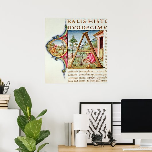 Geschiedeniseerd initiaal "A" met afbeelding Poster (Thuiskantoor)