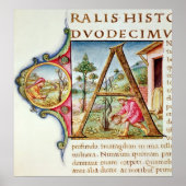 Geschiedeniseerd initiaal "A" met afbeelding Poster (Voorkant)