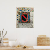 Geschiedeniseerd initiaal "D" met wapenschild Poster (Keuken)
