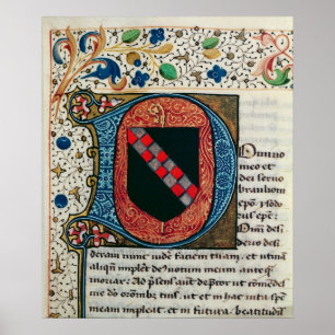 Geschiedeniseerd initiaal "D" met wapenschild Poster