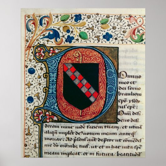 Geschiedeniseerd initiaal "D" met wapenschild Poster (Voorkant)