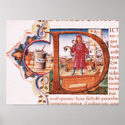 Geschiedeniseerd initiaal "D" waarin een apotheker Poster (Voorkant)