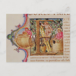 Geschiedeniseerd initiaal "E" voor het afschildere Briefkaart