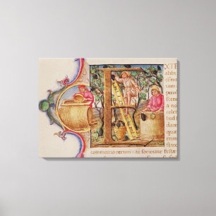 Geschiedeniseerd initiaal "E" voor het afschildere Canvas Afdruk