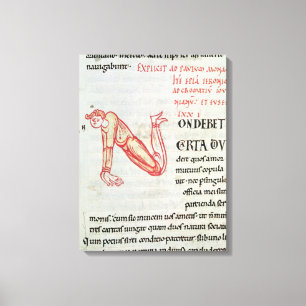 Geschiedeniseerd initiaal "N" Canvas Afdruk