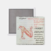 Geschiedeniseerd initiaal "N" Magneet (Voorkant / Achterkant)