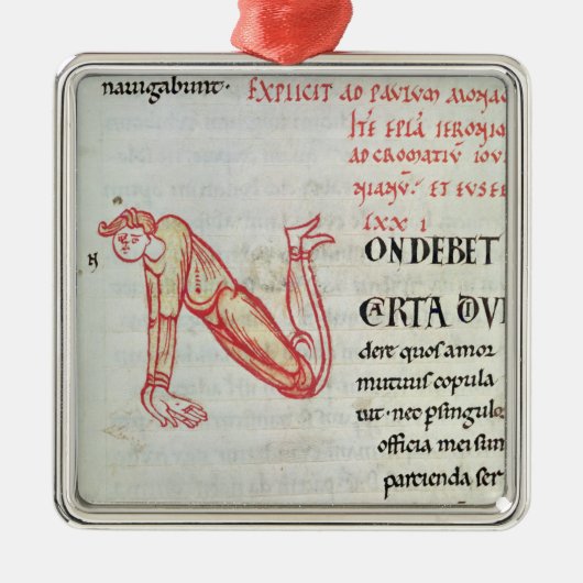 Geschiedeniseerd initiaal "N" Metalen Ornament (Voorkant)