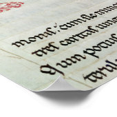 Geschiedeniseerd initiaal "N" Poster (Hoek)