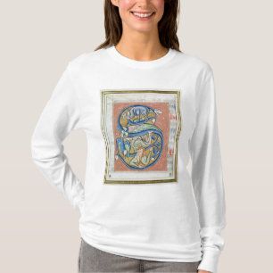 Geschiedeniseerd initiaal 'S' met een acrobaat T-shirt