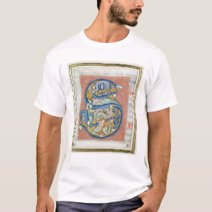 Geschiedeniseerd initiaal 'S' met een acrobaat T-shirt
