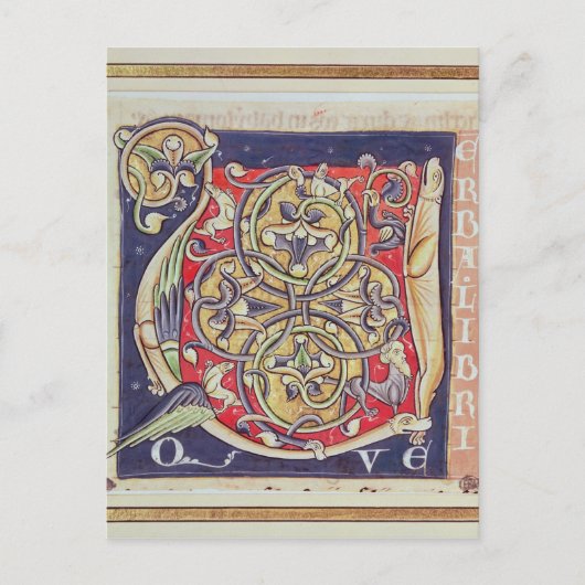 Geschiedeniseerd initiaal "U" Briefkaart (Voorkant)