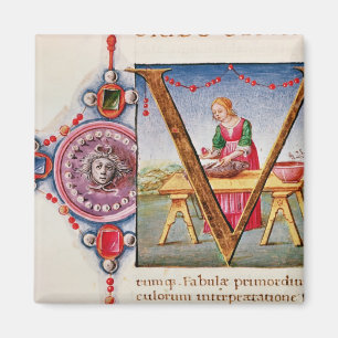 Geschiedeniseerd initiaal V-afbeelding Magneet