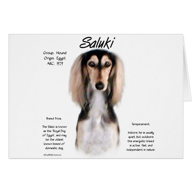 Geschiedenisontwerp Saluki (Voorkant Horizontaal)