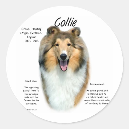 Geschiedenisontwerp voor Collie (sable rough) Ronde Sticker (Voorkant)
