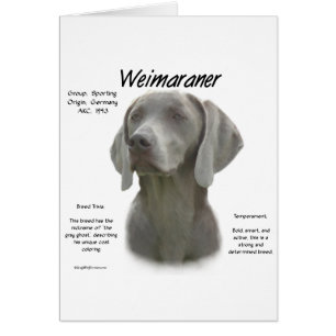 Geschiedenisontwerp weimaraner